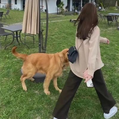瑞克和莫蒂第七季