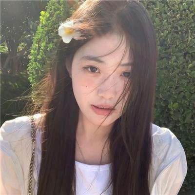 兔年